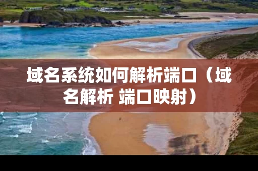 域名系统如何解析端口（域名解析 端口映射）