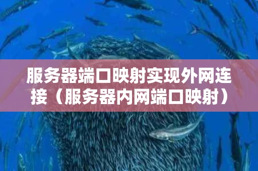 服务器端口映射实现外网连接（服务器内网端口映射）