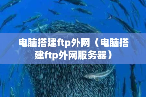 电脑搭建ftp外网（电脑搭建ftp外网服务器）