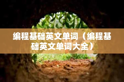 编程基础英文单词（编程基础英文单词大全）
