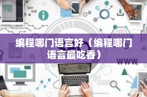 编程哪门语言好（编程哪门语言最吃香）