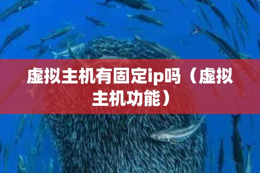 虚拟主机有固定ip吗（虚拟主机功能）