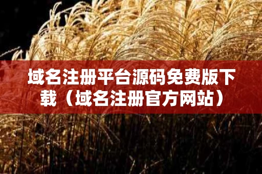 域名注册平台源码免费版下载（域名注册官方网站）