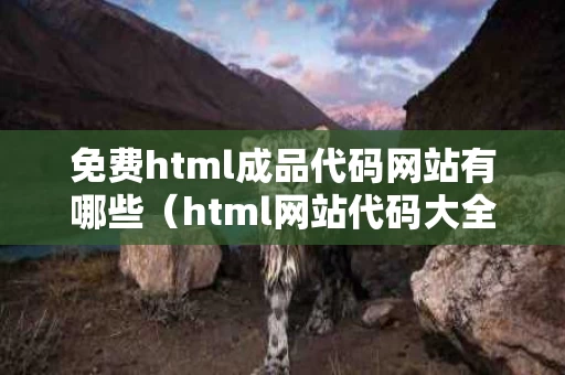 免费html成品代码网站有哪些（html网站代码大全）