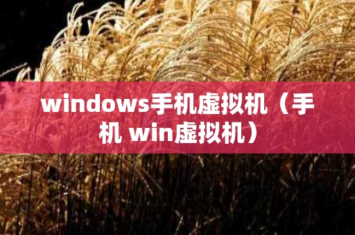 windows手机虚拟机（手机 win虚拟机）