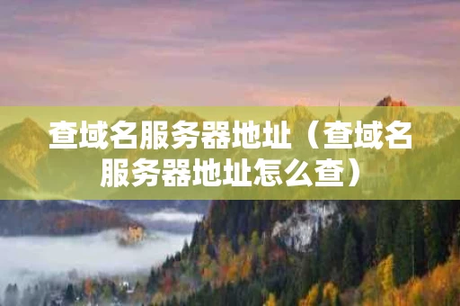 查域名服务器地址（查域名服务器地址怎么查）