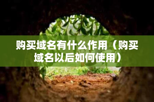 购买域名有什么作用（购买域名以后如何使用）