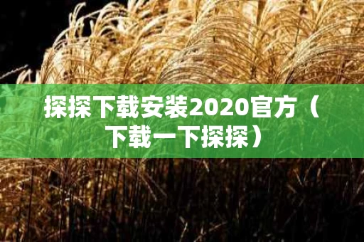 探探下载安装2020官方（下载一下探探）