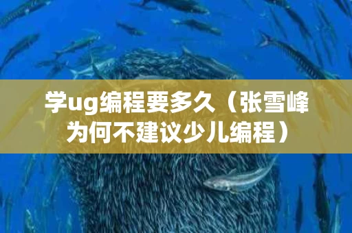 学ug编程要多久（张雪峰为何不建议少儿编程）