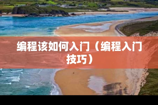 编程该如何入门（编程入门技巧）