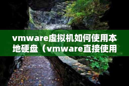 vmware虚拟机如何使用本地硬盘（vmware直接使用主机硬盘）