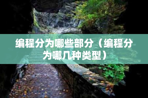 编程分为哪些部分（编程分为哪几种类型）