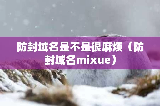 防封域名是不是很麻烦（防封域名mixue）