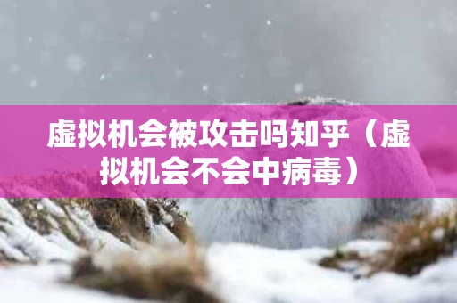 虚拟机会被攻击吗知乎（虚拟机会不会中病毒）