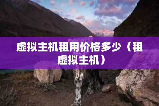 虚拟主机租用价格多少（租 虚拟主机）