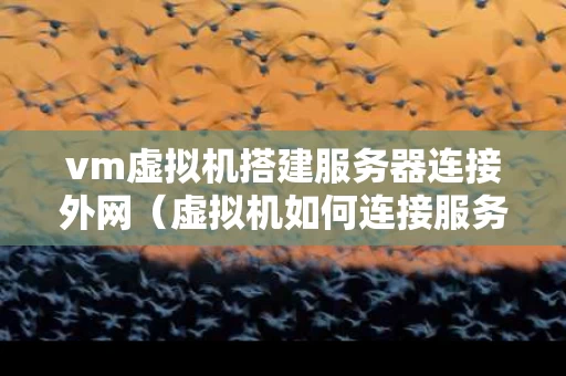 vm虚拟机搭建服务器连接外网（虚拟机如何连接服务器）