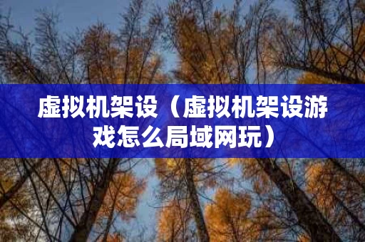 虚拟机架设（虚拟机架设游戏怎么局域网玩）