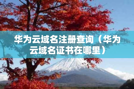 华为云域名注册查询（华为云域名证书在哪里）