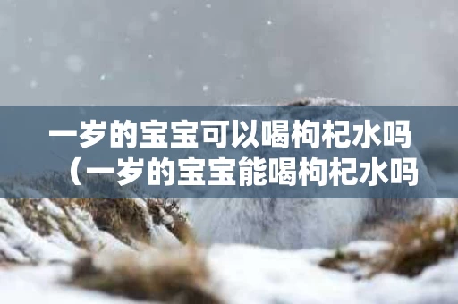 一岁的宝宝可以喝枸杞水吗（一岁的宝宝能喝枸杞水吗）