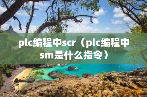 plc编程中scr（plc编程中sm是什么指令）