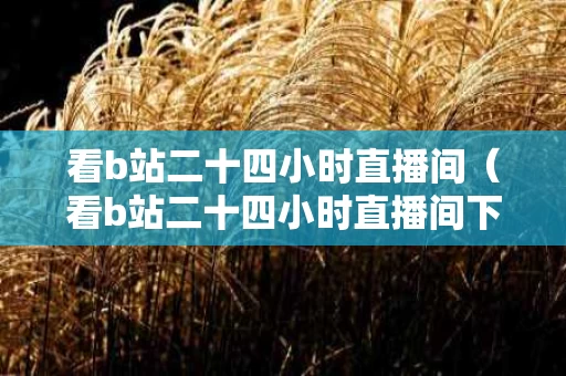看b站二十四小时直播间（看b站二十四小时直播间下什么软件）