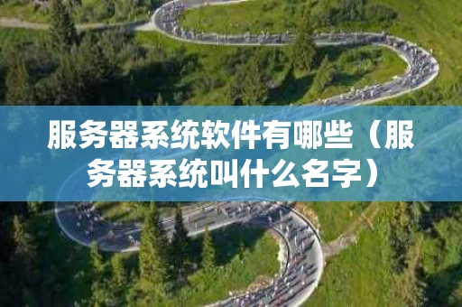 服务器系统软件有哪些（服务器系统叫什么名字）