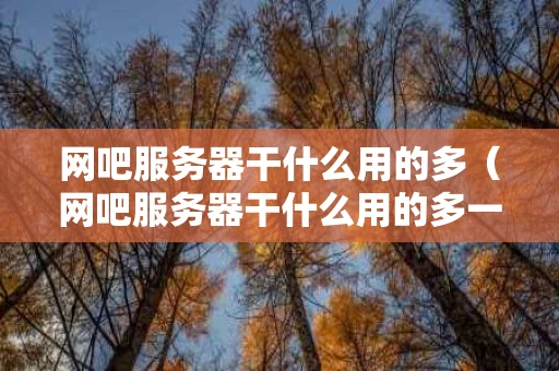 网吧服务器干什么用的多（网吧服务器干什么用的多一点）