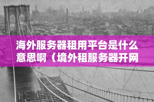 海外服务器租用平台是什么意思啊（境外租服务器开网站是否合法）