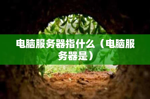 电脑服务器指什么（电脑服务器是）
