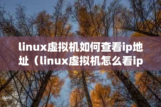 linux虚拟机如何查看ip地址（linux虚拟机怎么看ip）