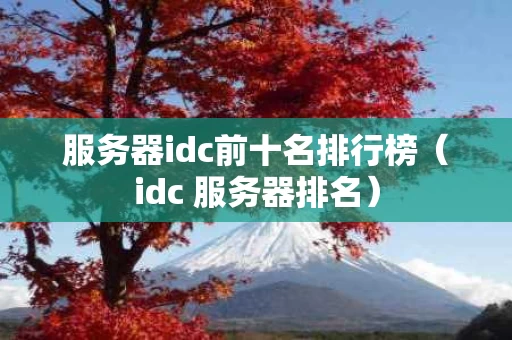 服务器idc前十名排行榜（idc 服务器排名）