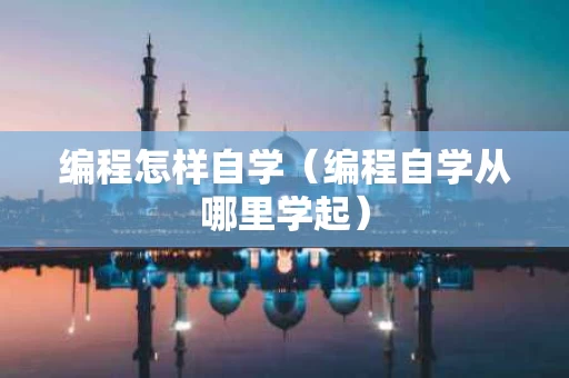 编程怎样自学（编程自学从哪里学起）
