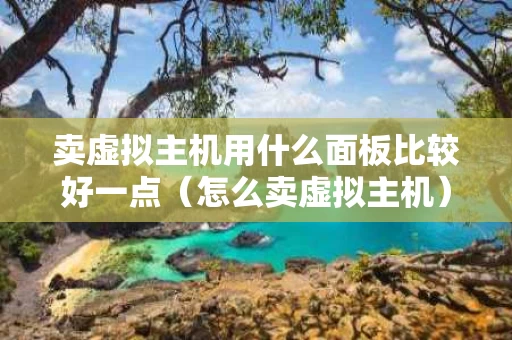 卖虚拟主机用什么面板比较好一点（怎么卖虚拟主机）