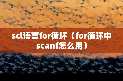 scl语言for循环（for循环中scanf怎么用）