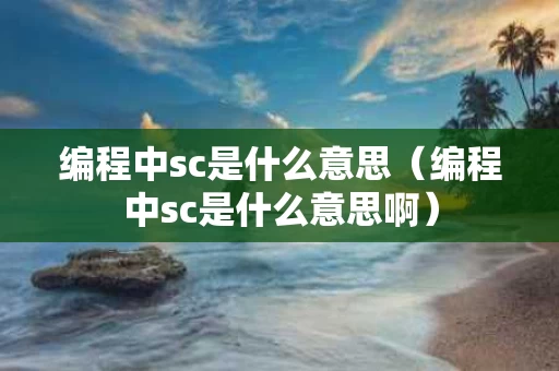 编程中sc是什么意思（编程中sc是什么意思啊）