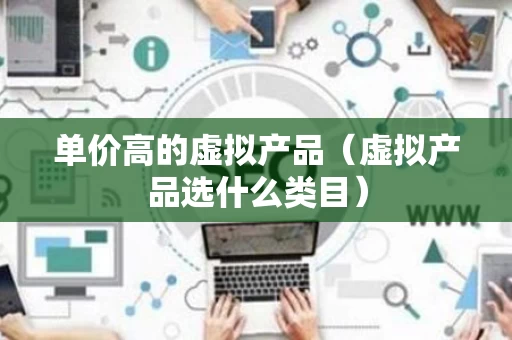 单价高的虚拟产品（虚拟产品选什么类目）