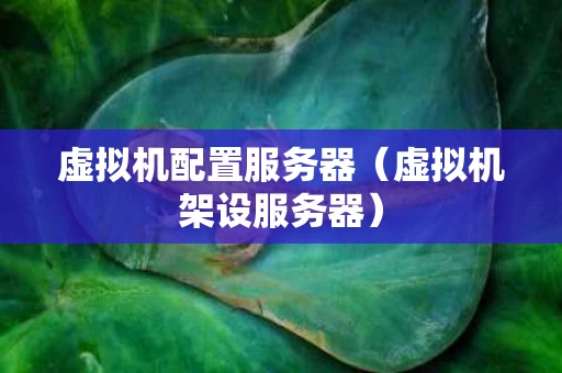 虚拟机配置服务器（虚拟机架设服务器）