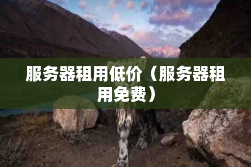 服务器租用低价（服务器租用免费）