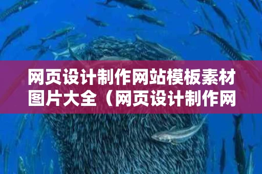 网页设计制作网站模板素材图片大全（网页设计制作网站作品）