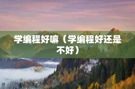 学编程好嘛（学编程好还是不好）