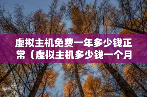 虚拟主机免费一年多少钱正常（虚拟主机多少钱一个月）