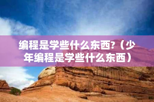 编程是学些什么东西?（少年编程是学些什么东西）