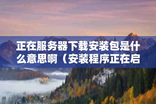 正在服务器下载安装包是什么意思啊（安装程序正在启动服务器）