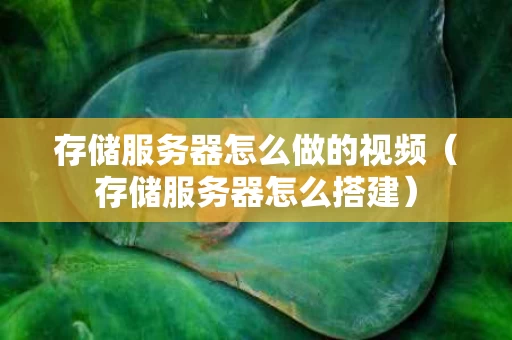 存储服务器怎么做的视频（存储服务器怎么搭建）