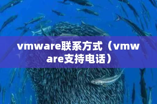 vmware联系方式（vmware支持电话）