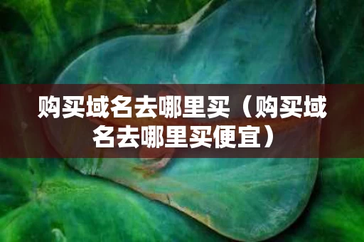 购买域名去哪里买（购买域名去哪里买便宜）