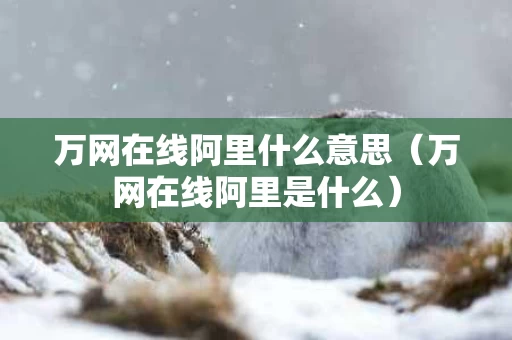 万网在线阿里什么意思（万网在线阿里是什么）