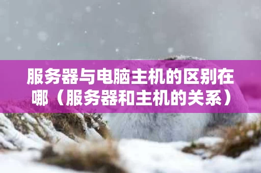 服务器与电脑主机的区别在哪（服务器和主机的关系）