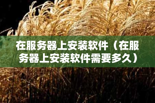 在服务器上安装软件（在服务器上安装软件需要多久）