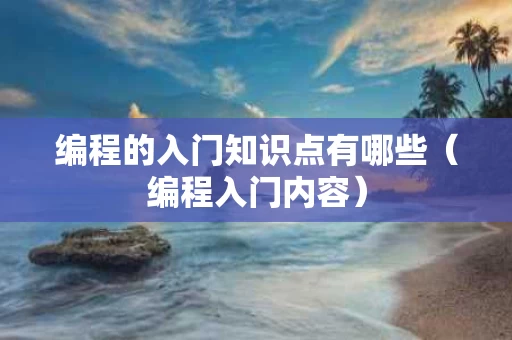 编程的入门知识点有哪些（编程入门内容）